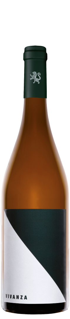 Vivanza